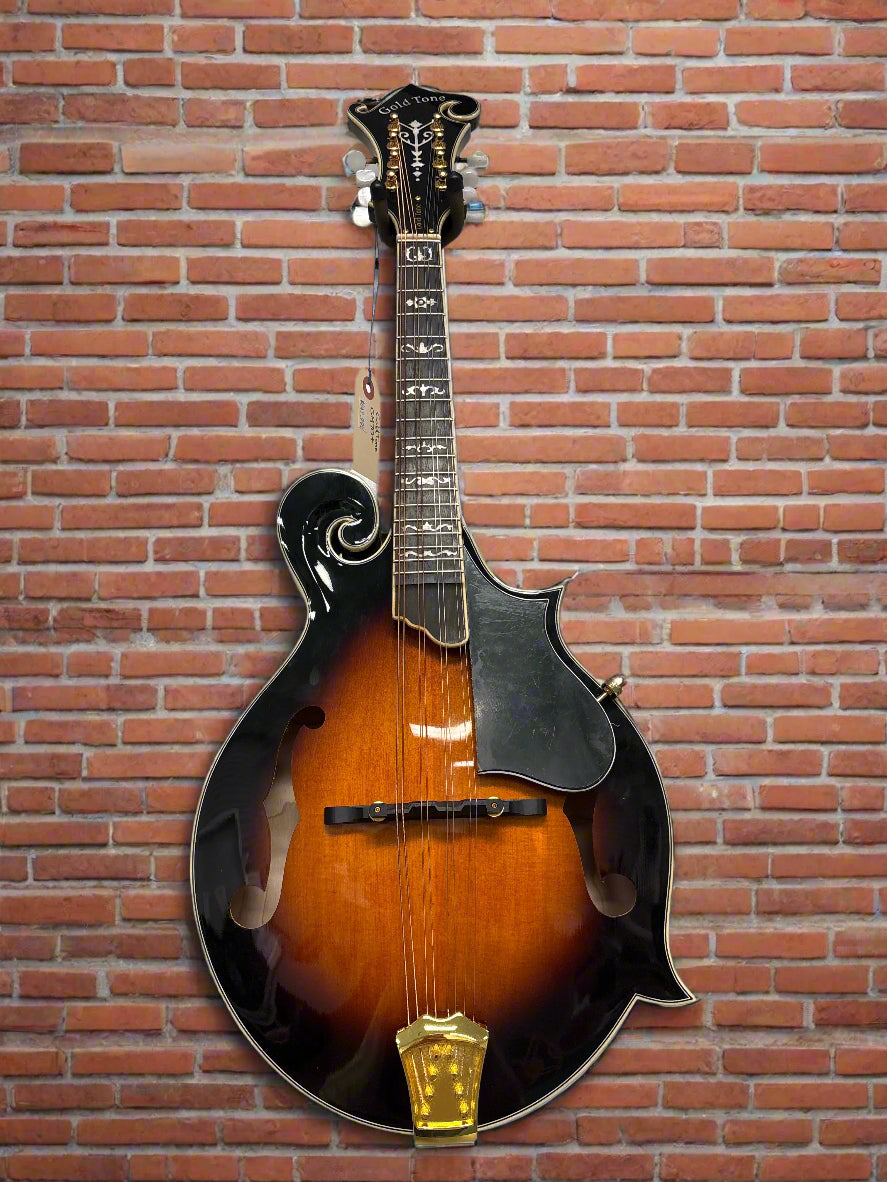 Image of Gold Tone Mandolin With Case